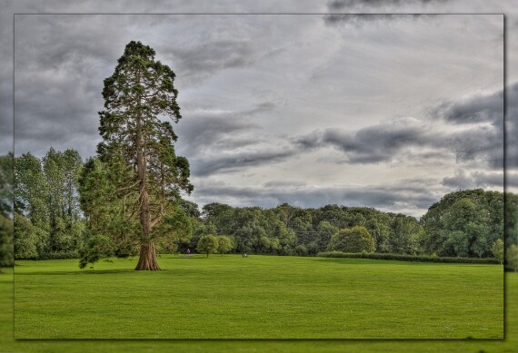 Mallahide Park